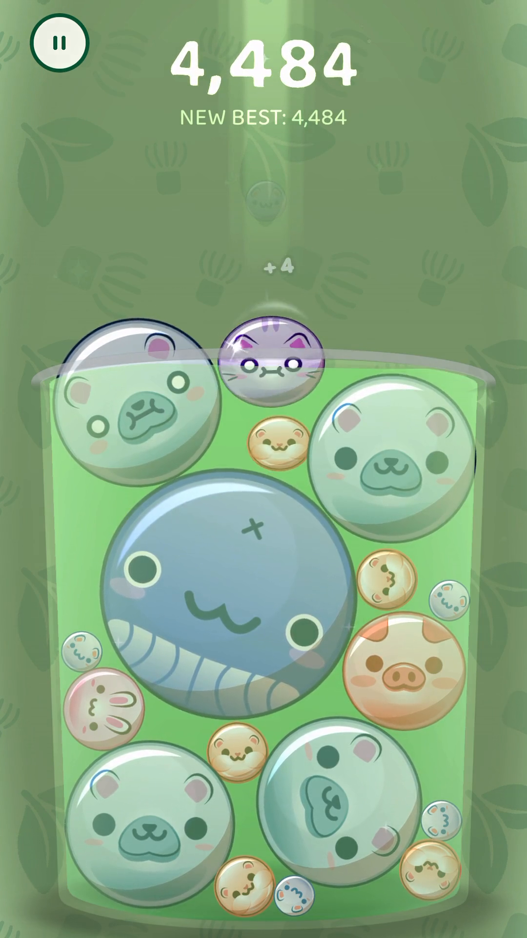 boba:3 screenshot — matcha full board